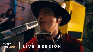 Pae Arak - แฟนใหม่เธอใช้ไม่ได้ (Bad New Boy) [Live Session]