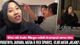 "MEGA BIKIN TIM AUTO PADAT JADWAL" pengakuan Pyo Seun Ju, Mega tiba Red Sparks langsung di tekan