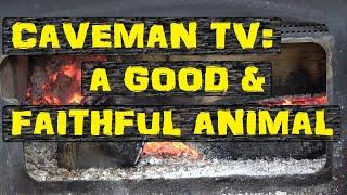 cAvEman tv || Farm Tractor