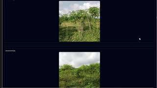 AI-Powered Analysis of Photos from the Agricultural Value Chain - EN