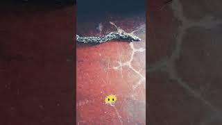 #whatisthis