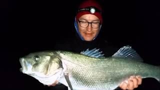 Espinete surfcasting robalo ( NEW RECORD ) ´´Grauvell Fishning´´