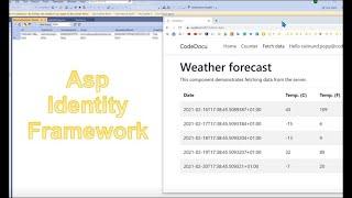  Add User Identity Framework to Database on Asp Core with React and Angular