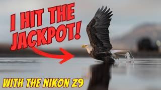 I HIT THE JACKPOT! - A Photographer’s Dream: Amazing Eagle Reflections Perfect Conditions - Nikon Z9