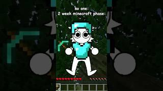 2 week minecraft phase be like: