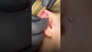 Rook, flat and tragus piercings with gold upgrades 