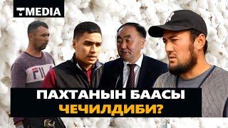 ПАХТАНЫН БААСЫ ЧЕЧИЛДИБИ?