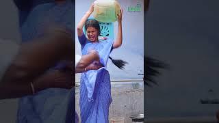 Panni Kutty - சம்பவம் இவ்ளோதானா | Yogi Babu | Karunakaran | Anucharan | Subaskaran