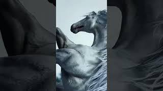 Who let the horse out? #wherewindsmeet #cbt #wuxia