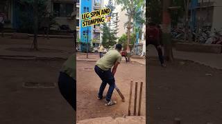 Society Box cricket  #cricket #cricketshorts #legspinbowling