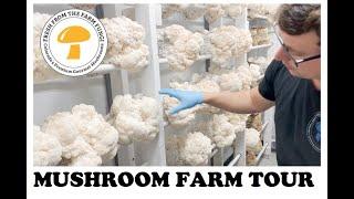 Fresh from the Farm Fungi: Mushroom Farm Tour 2021