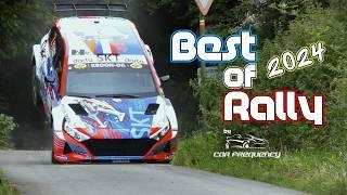 Best of Rally 2024 - Pure Action, Sound and Mistakes