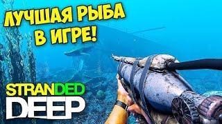 ЛУЧШАЯ РЫБА В ИГРЕ - МАССОВАЯ ЛОВЛЯ РЫБЫ - ВЫЖИВАНИЕ - Stranded Deep #18