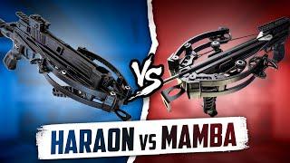 Мини арбалет Mamba vs арбалет Haraon: Какой из них лучше? СРАВНЕНИЕ ТОПОВЫХ АРБАЛЕТОВ 2024