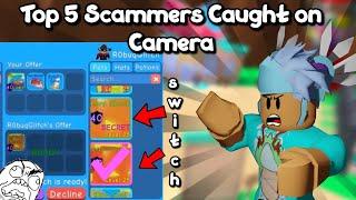 Roblox Bgs top 5 scammers *scammed shiny secret pets* (bubble gum simulator)