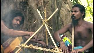 Veddas People in Sri lanka - (Sri Lanka Tribe)