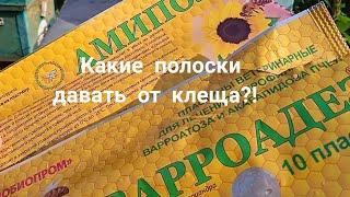 Какие полоски от клеща ставить?! Борьба с варроатозом