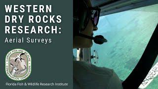 Western Dry Rock Research: Aerial Surveys