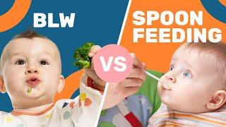 Is Baby-Led Weaning ACTUALLY Better Than Spoon Feeding?