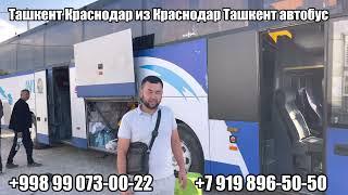 Автобус Краснодар Ташкент пассажирский перевозка без посредников