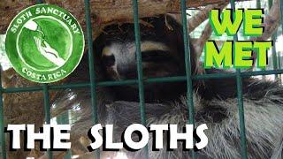 Going South in a Hurry (Pt. 85) - Meeting Sloths at the Sloth Sanctuary of Costa Rica