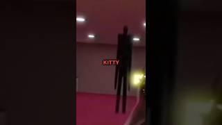 ️What If You KILL KITTY IN THE BACKROOMS - Found Footage️ #backrooms #creepypasta #shorts