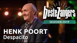 Henk Poort - Despacito | Beste Zangers 2019