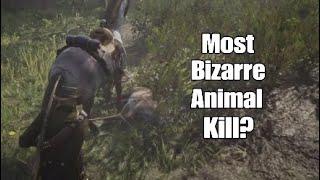 RDR2 - When your HORSE catches & kills the animal for you...