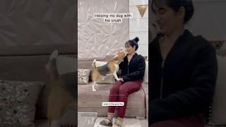 Helping my dog with his crush