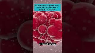 Learn how Quercetin, found in everyday foods help in modulating HER2 protein in breast cancer #HER2