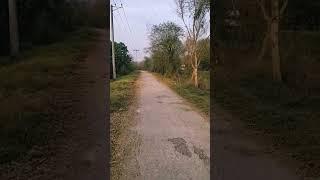 Village beauty||Must watch this. #shorts #travel  #my grip on trip