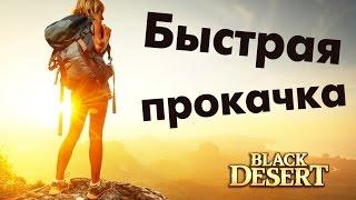 Black Desert - Как лучше качаться до 50