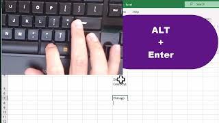 Excel How To insert Multiple Lines into a Cell