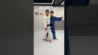 허벅다리 연습 방법 #judo #유도 #허벅다리 #uchimata