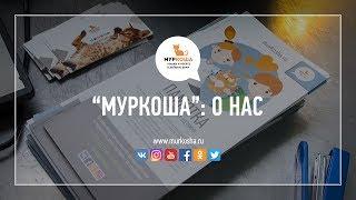 О нас (частный приют для кошек "Муркоша")