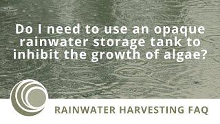 On the Importance of Tank Opacity in a Rainwater Harvesting System