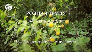 РОДНАЯ ЗЕМЛЯ. ЗАГАТАЛА. ДАНАЧЫ. Из цикла передач "Грани толерантности"