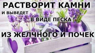 Как растворить большие камни в желчном пузыре и почках.