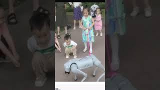 Dancing Robot Dog Takes on Happy Children! #hiddenfolksworld