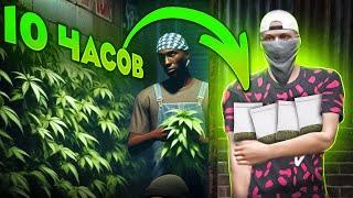 Я весь ДЕНЬ развозил ЗАКЛАДКИ В БАНДЕ и вот что из этого вышло... (GTA 5 RP Majestic)