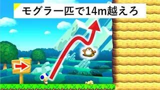 【マリオメーカー２】モグラ一匹で14ｍの壁を越えるステージ