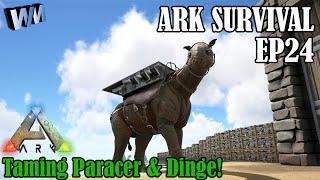 Ark Survival Evolved Gameplay EP24 - Taming lvl 116 Paracer & Dinge!