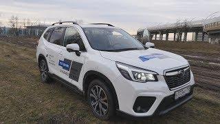 Subaru Forester - Кто не умеет ездить купит Kodiaq