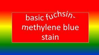 BASIC FUCHSIN- METHYLENE BLUE STAIN