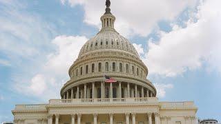 Senate Democrats Live