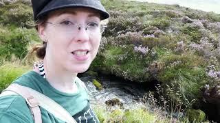 Exploring in Scotland | Part 3 - hiking up a MONRO Sgor Gaoith, Cairngorms