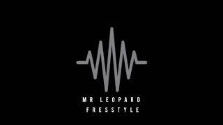 MR LEOPARD