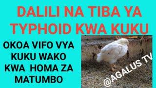 UGONJWA WA TYPHOID/HOMA YA MATUMBO KWA KUKU/DALILI NA TIBA YAKE