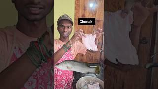 Chonak மீன் வறுவல்  | #shorts #ytshorts ##youtubeshorts #tamil