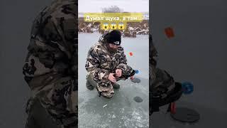 Монстр на жерлицу #зимняярыбалка #рыбалка #окунь #fishing #рыбалкавидео